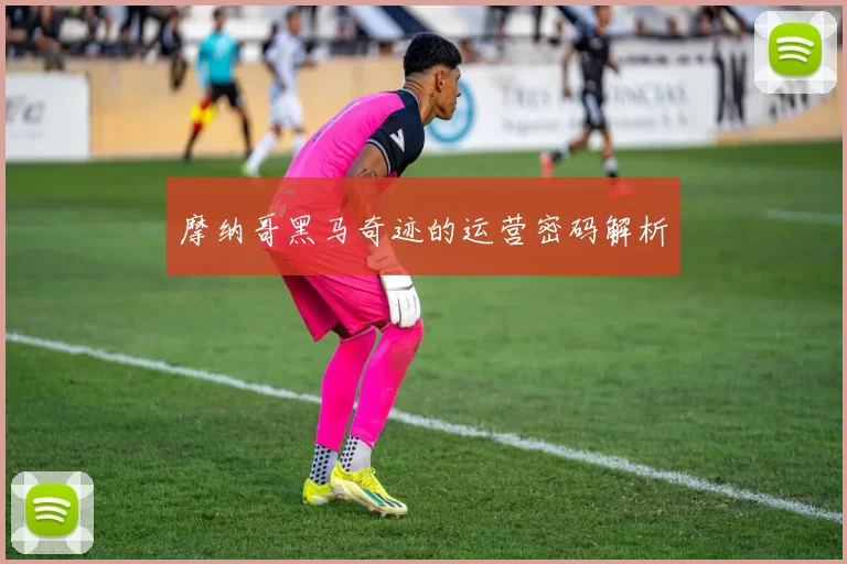 摩纳哥黑马奇迹的运营密码解析