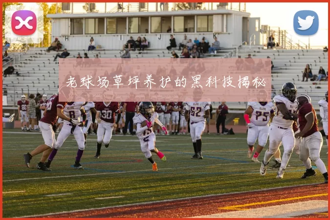 老球场草坪养护的黑科技揭秘