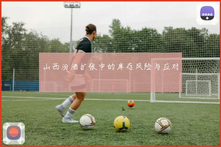 山西汾酒扩张中的库存风险与应对