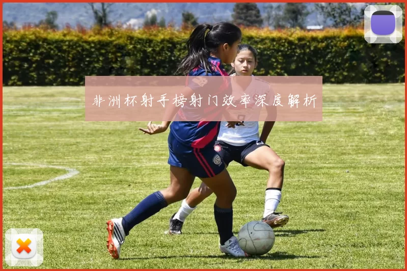 非洲杯射手榜射门效率深度解析